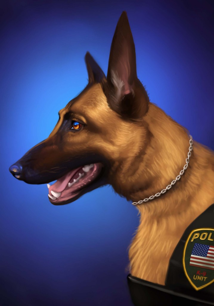 K9-LR